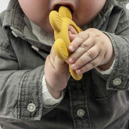 Anneau de dentition 